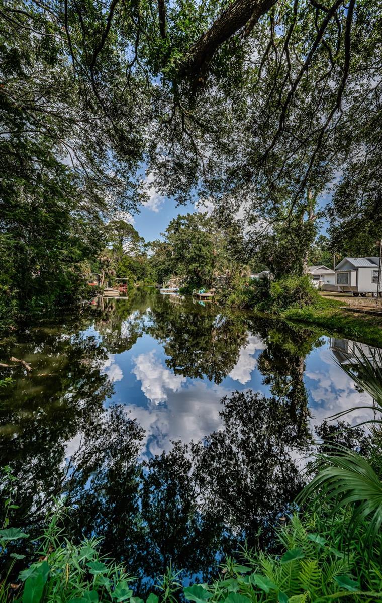 WEEKI WACHEE RIVER ESTATE - Residential