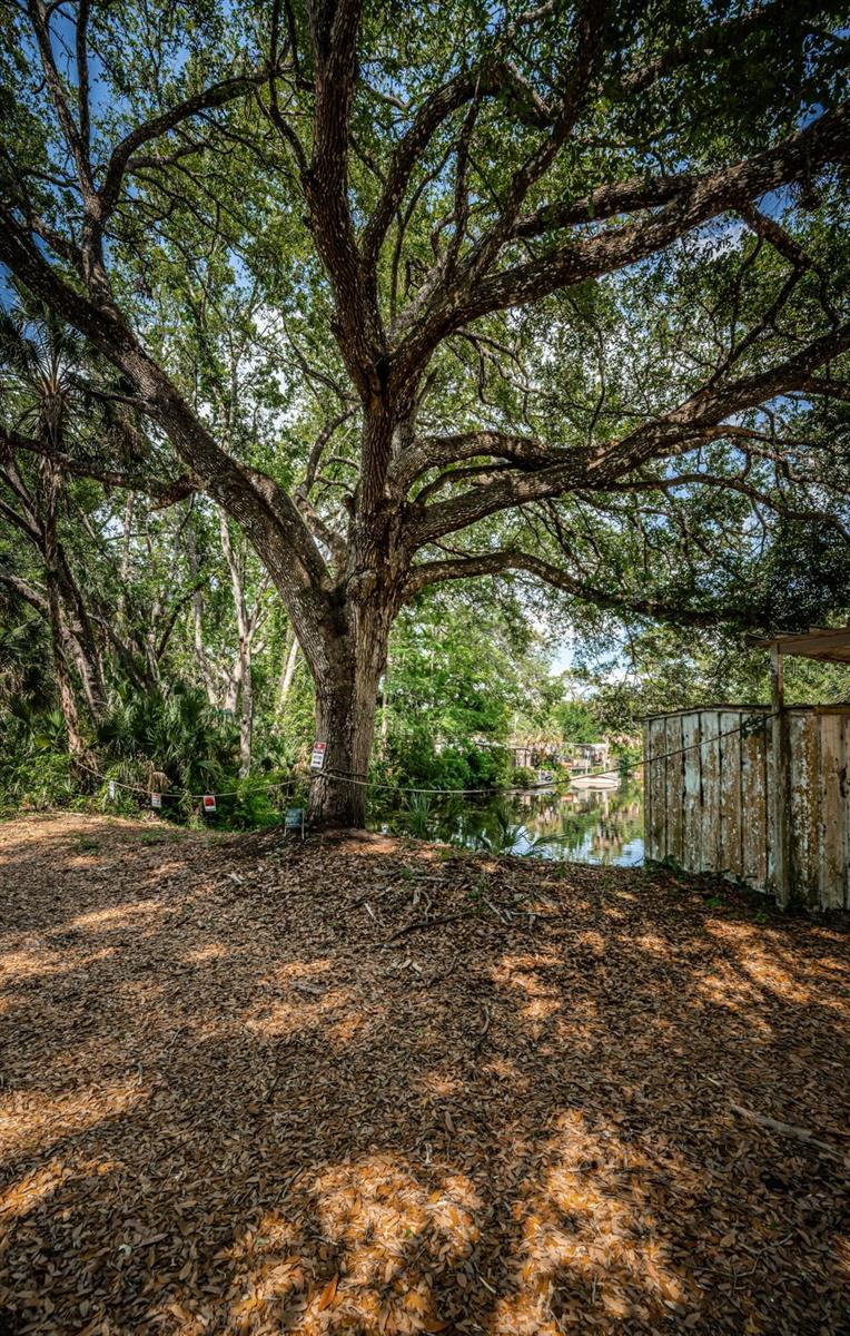 WEEKI WACHEE RIVER ESTATE - Residential