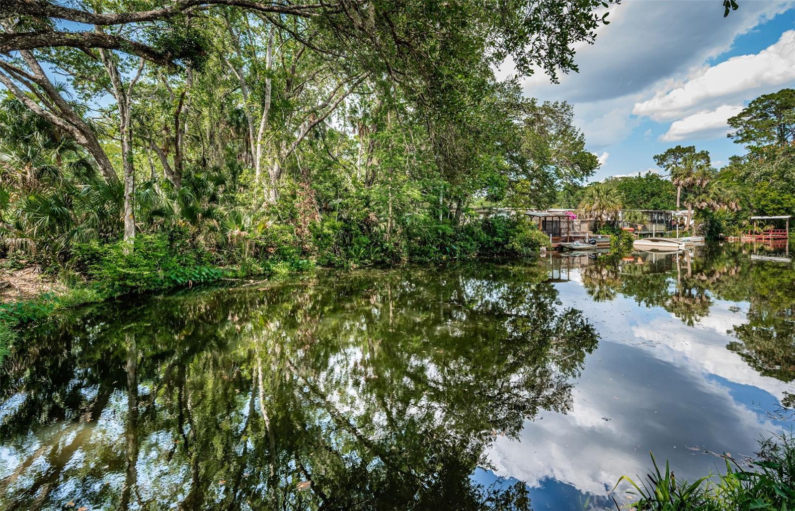 WEEKI WACHEE RIVER ESTATE - Residential
