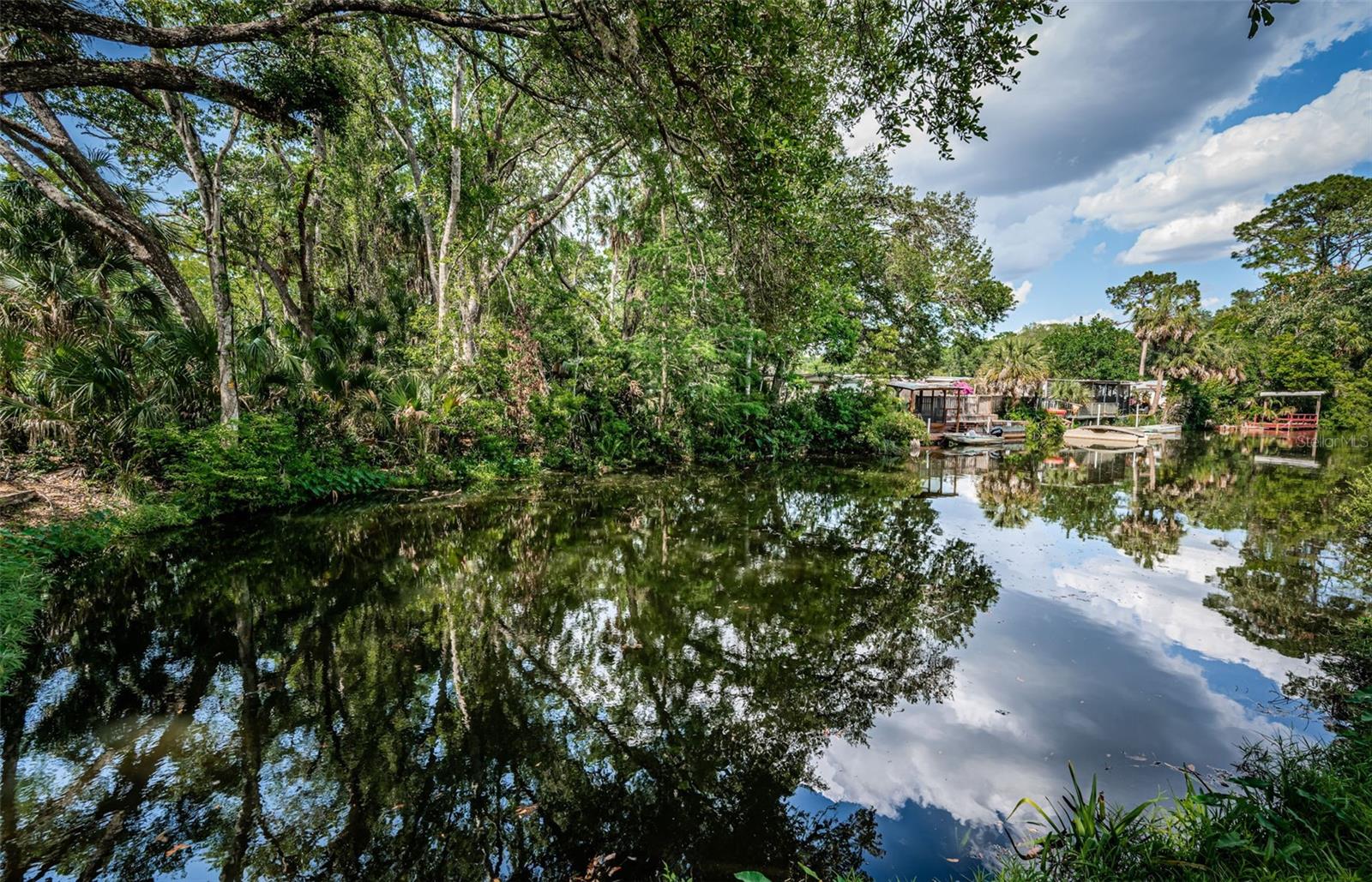 WEEKI WACHEE RIVER ESTATE - Residential