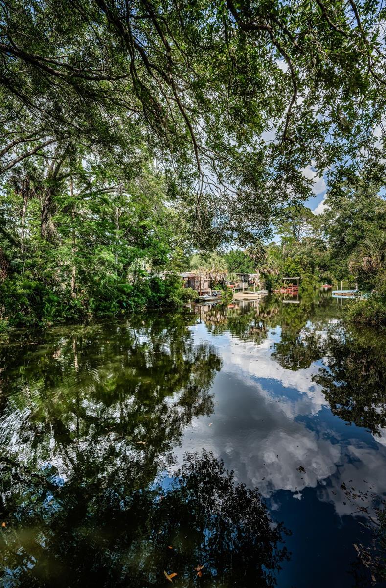 WEEKI WACHEE RIVER ESTATE - Residential