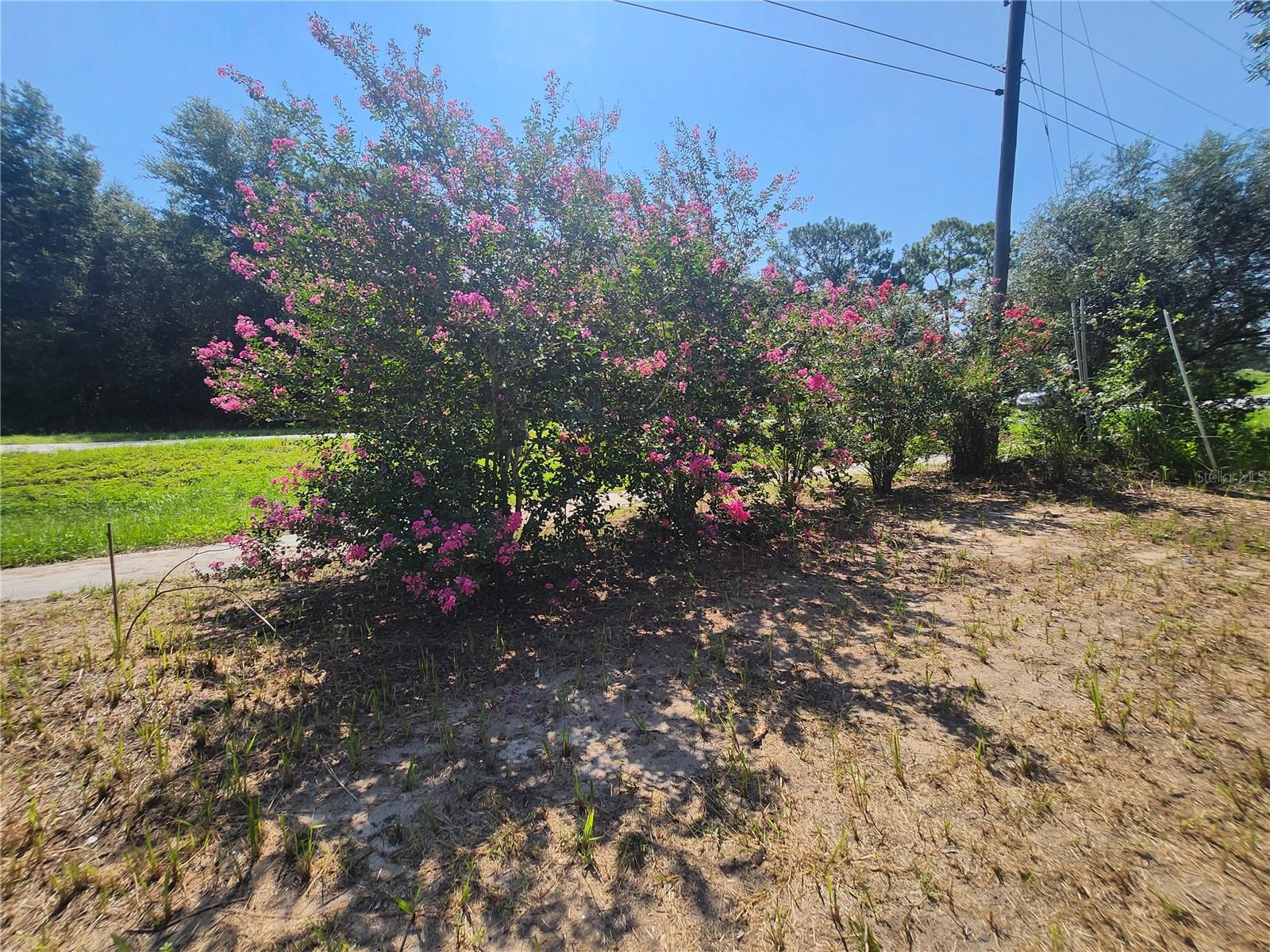 SILVER SPGS SHORES UN 18 - Residential