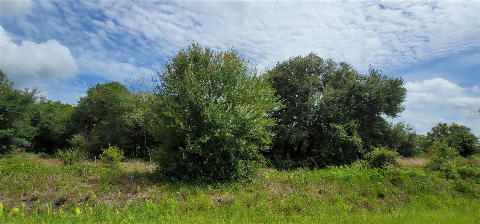 NW 268TH STREET LOT N