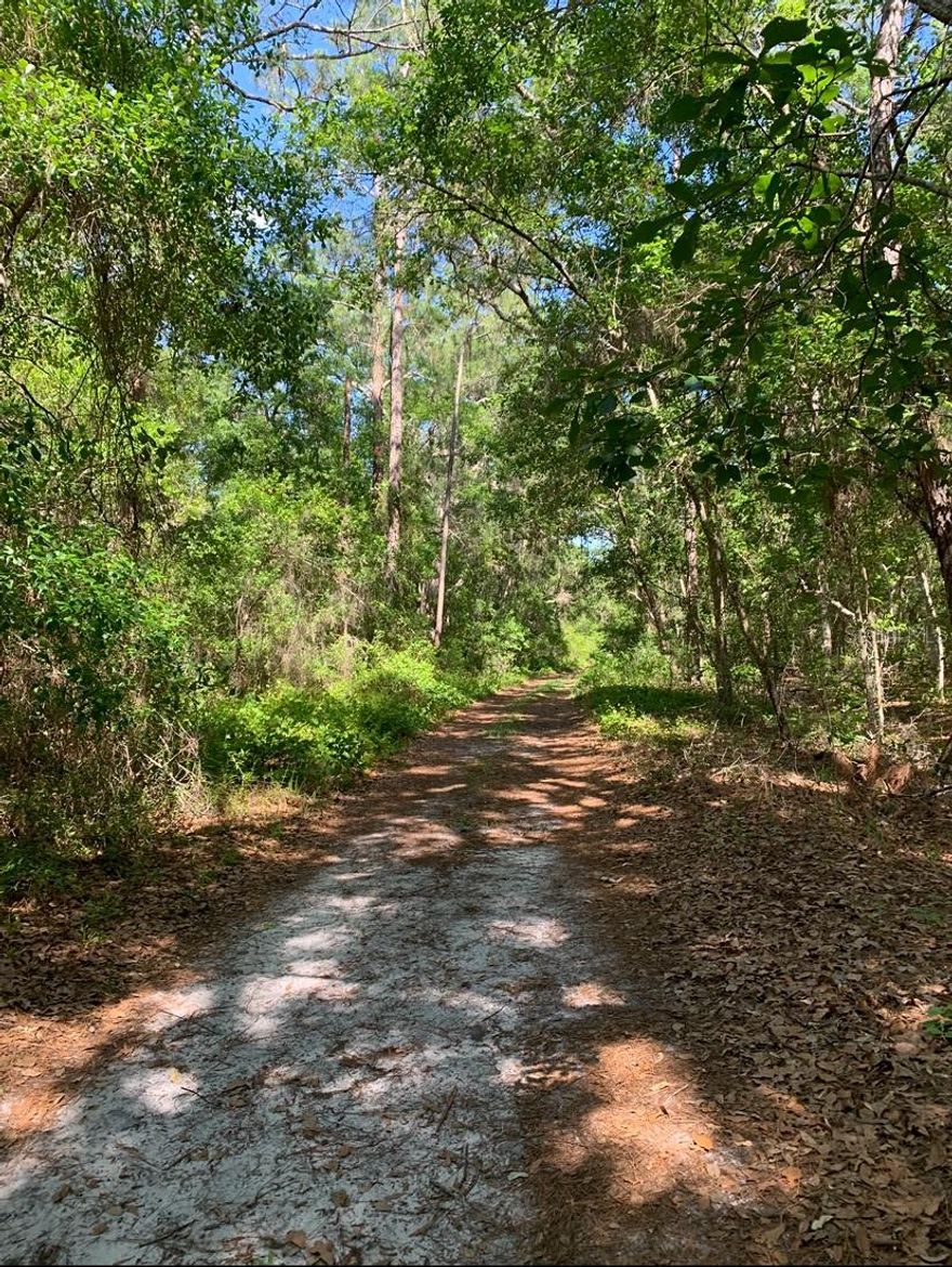 Property Features: - Zoning: R-4 – Tiny home allowed (=360 sq ft), mobile home (=501 sq ft), modular, or site-built. - Lake & Private Beach Tract Rights – Enjoy swimming, fishing, kayaking. - No HOA – Freedom to build what you want. - Setback requirements already defined: 25 ft (front/back), 8 ft (sides). - excellent for Airbnb, weekend retreat, or full-time home.  This property is located next to Deer Back Lake, Island Lake, and Pegram Lake (hence why the subdivision is named Three Lakes Estates) where you can boat, kayak/canoe, fish your heart out all day! Fort McCoy is 2 hours from Orlando, 1.5 hours from Jacksonville, and 30 minutes from Ocala. About 1 hour from Daytona.