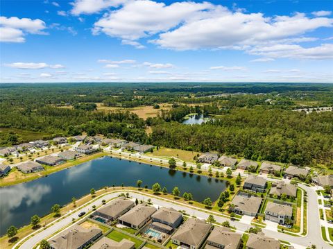 A home in LAND O LAKES