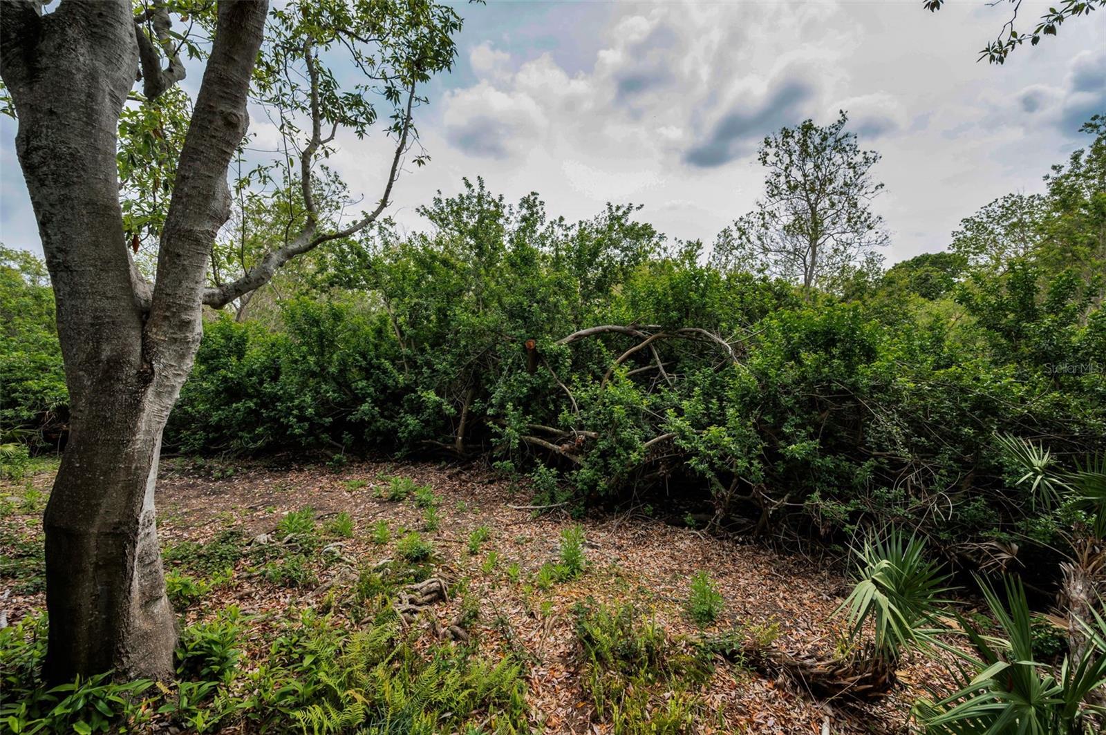 EAGLE ESTATES-WARREN REP I - Residential