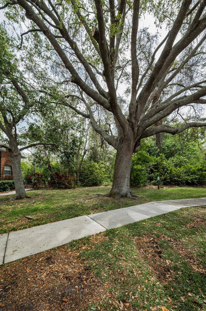 EAGLE ESTATES-WARREN REP I - Residential