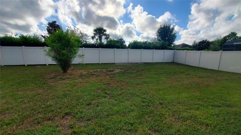 A home in MOUNT DORA