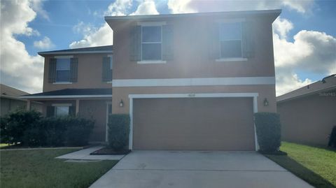 A home in MOUNT DORA