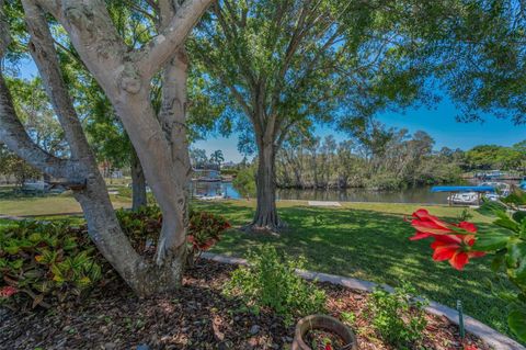 3133 PINEVIEW DRIVE HOLIDAY FL 34691