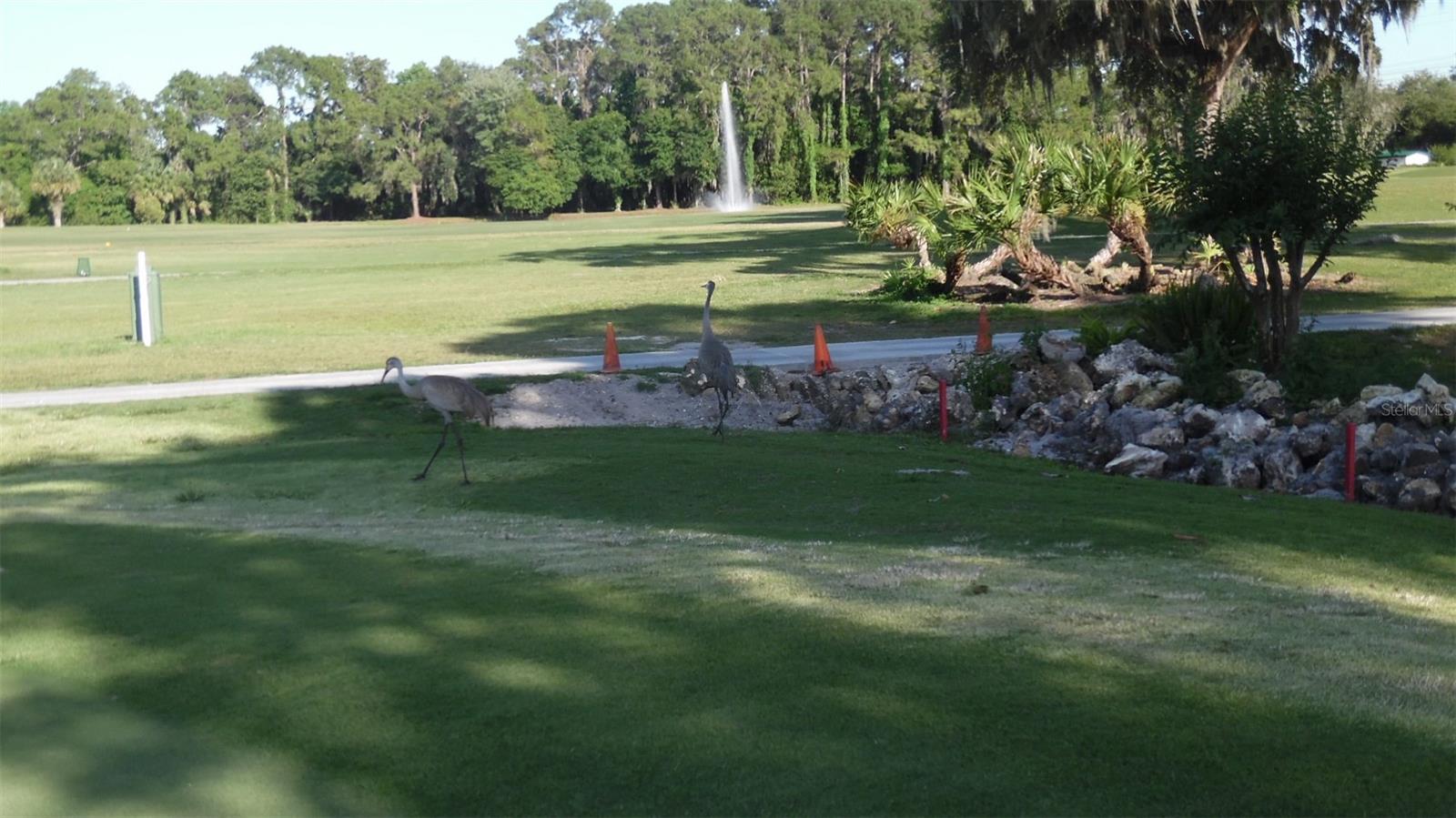 CONTINENTAL COUNTRY CLUB - Residential