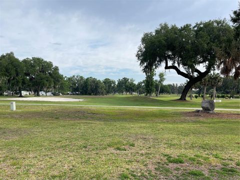 Tiny photo for 87 N Bobwhite Road, Wildwood, FL 34785 (MLS # G5112210)