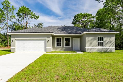 Photo of 3179 W Barberton Place, Citrus Springs, FL 34433 (MLS # O6271977)