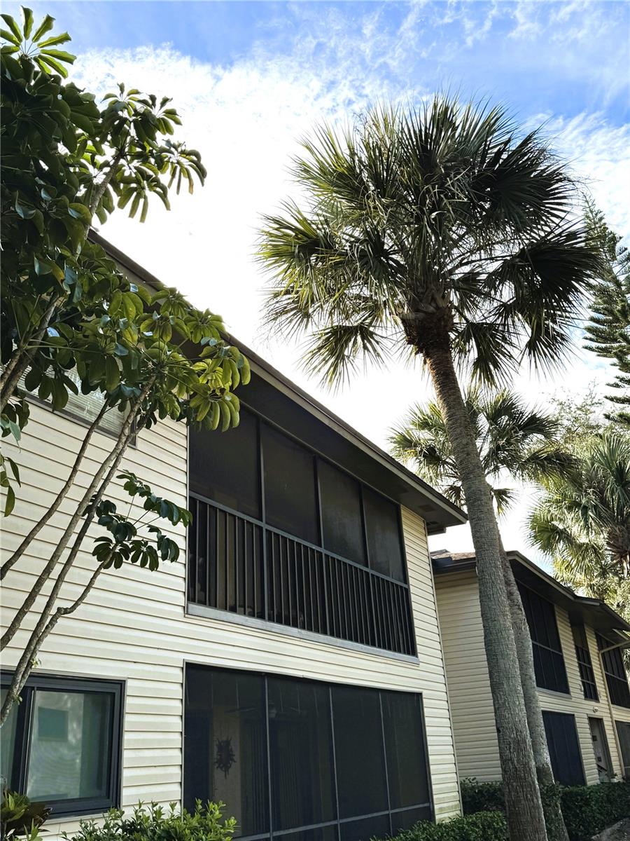 3223 FOX CHASE CIRCLE N 206