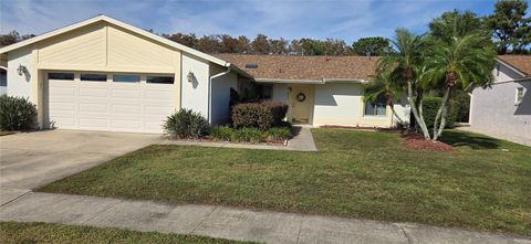 11231 SCENIC VIEW LANE ORLANDO FL 32821