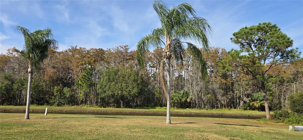 Photo of 11231 Scenic View Lane, Orlando, FL 32821 (MLS # O6365506)