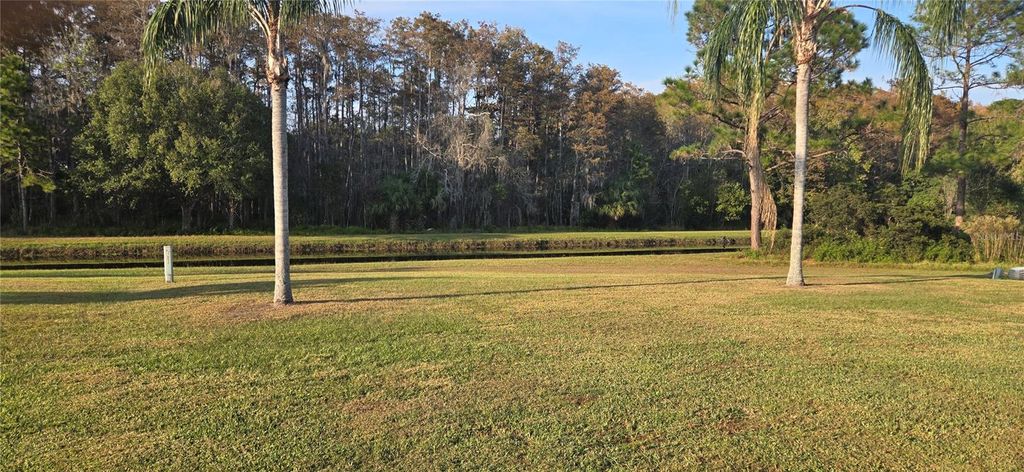 Photo of 11231 Scenic View Lane, Orlando, FL 32821 (MLS # O6365506)