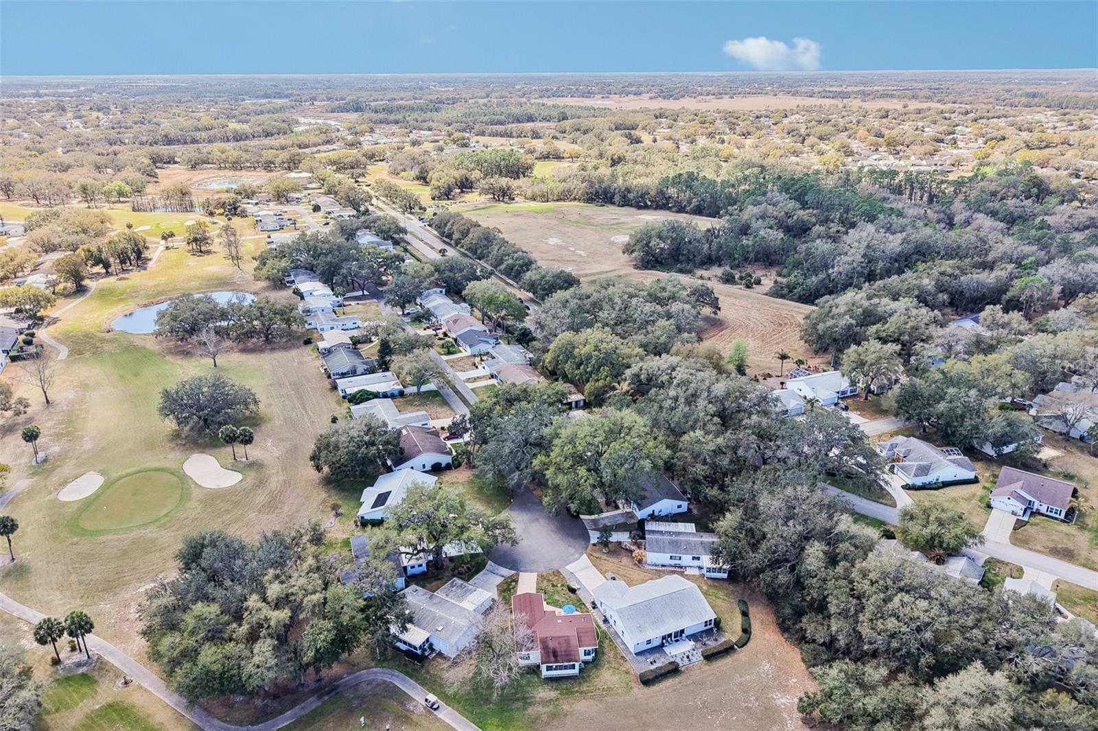 PLANTATION AT LEESBURG BELLE GROVE - Residential