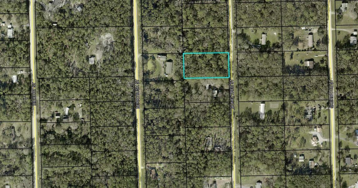 If you've been looking for your piece of undeveloped land on over an acre, look no further than 1230 Honeytree Street in beautiful Bunnell, FL. This 1.14 acre lot offers endless possibilities for your dream home, mobile home, or weekend getaway. No timeline to build. Enjoy quiet charm of rural living while still being a short drive to Flagler Beach, Palm Coast, Buyers are encouraged to conduct their own due diligence to confirm buildability and land use.