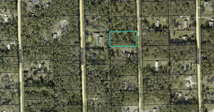 If you've been looking for your piece of undeveloped land on over an acre, look no further than 1230 Honeytree Street in beautiful Bunnell, FL. This 1.14 acre lot offers endless possibilities for your dream home, mobile home, or weekend getaway. No timeline to build.  Enjoy quiet charm of rural living while still being a short drive to Flagler Beach, Palm Coast, Buyers are encouraged to conduct their own due diligence to confirm buildability and land use.