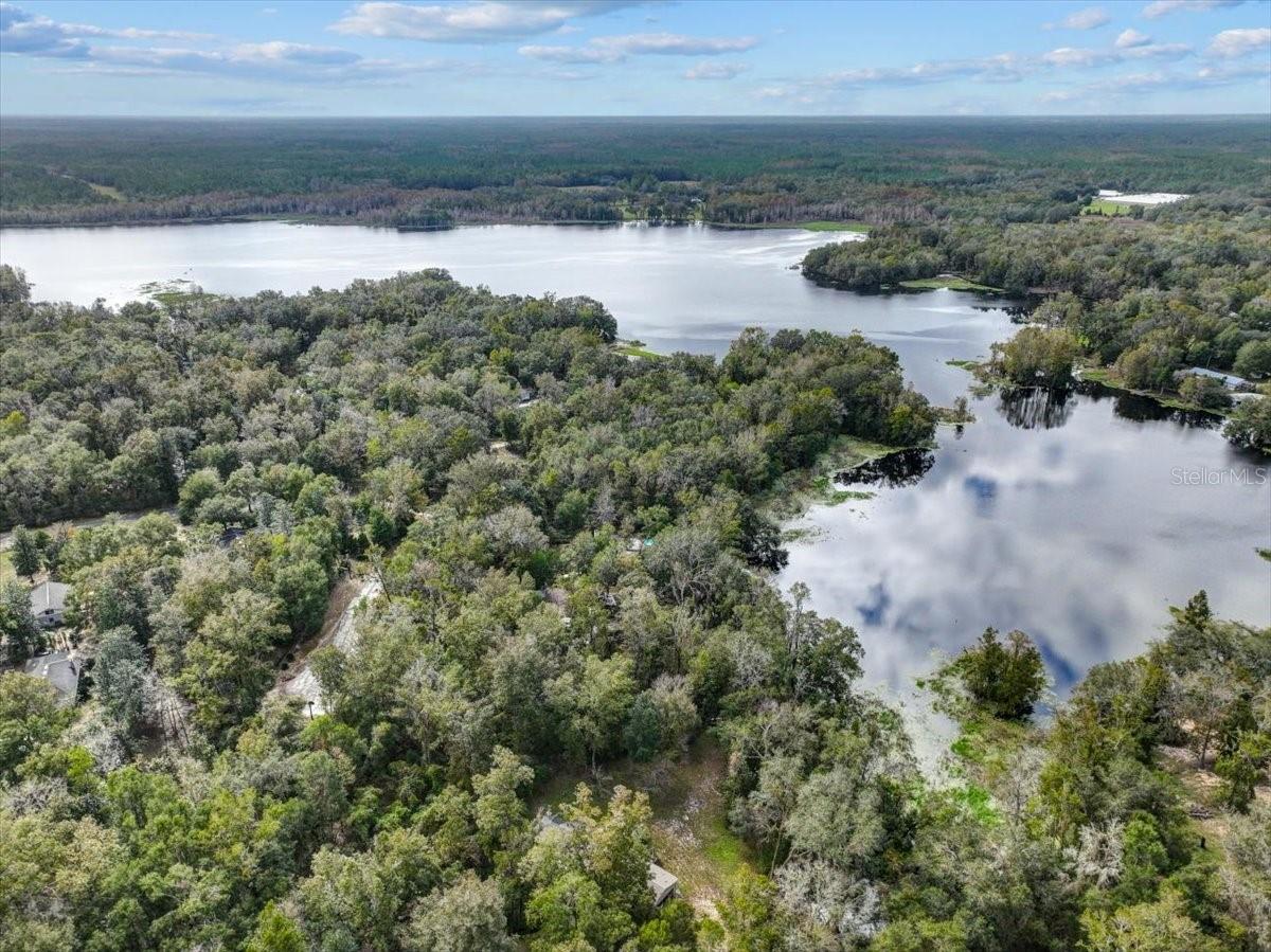 LAKE IN THE WOODS - Land