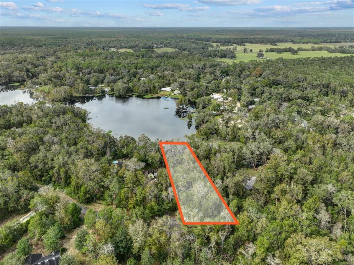 LAKE IN THE WOODS - Land