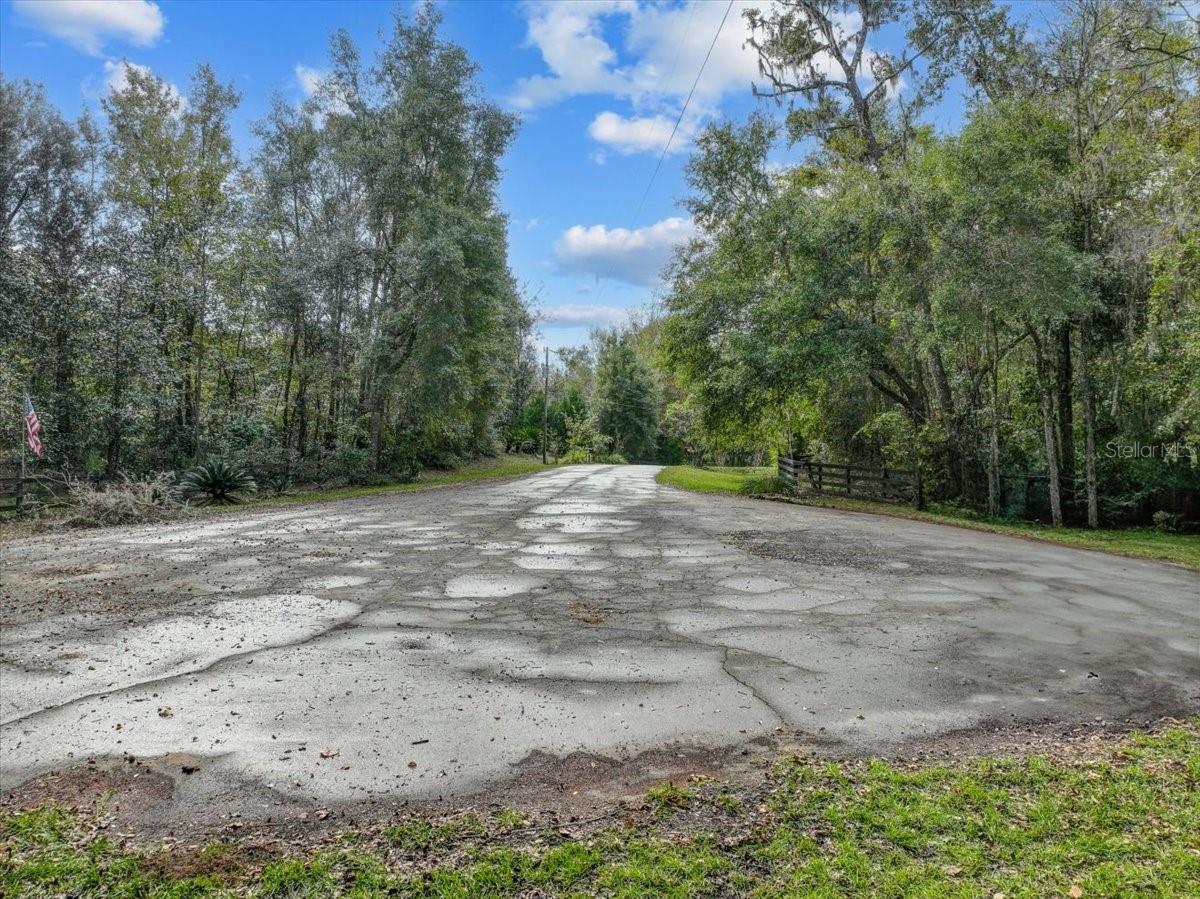 LAKE IN THE WOODS - Land