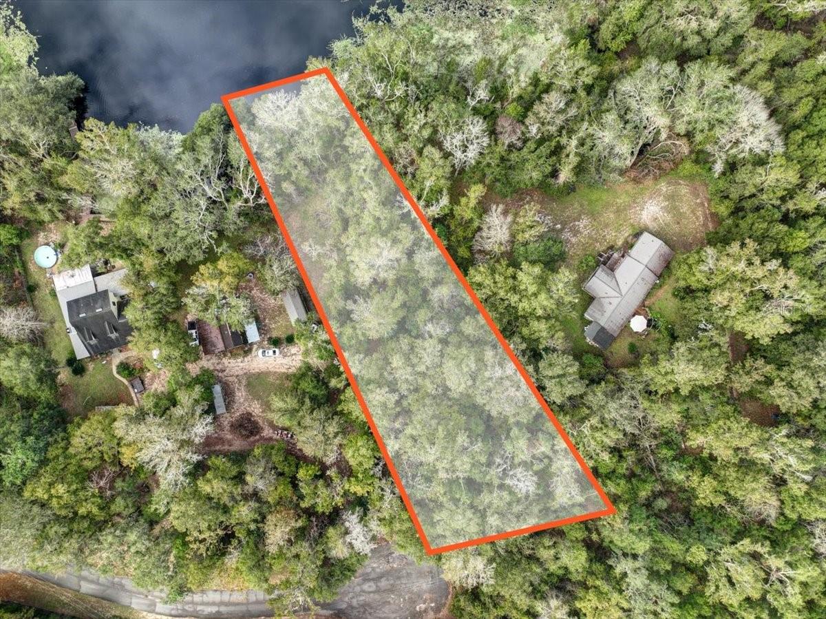 LAKE IN THE WOODS - Land