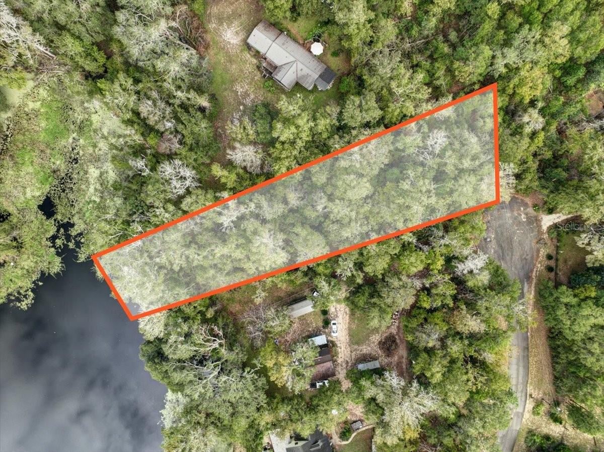 LAKE IN THE WOODS - Land