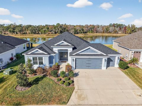 Tiny photo for 4138 Burgess Drive, The Villages, FL 32163 (MLS # G5107349)