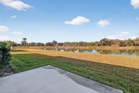 Tiny photo for 4138 Burgess Drive, The Villages, FL 32163 (MLS # G5107349)