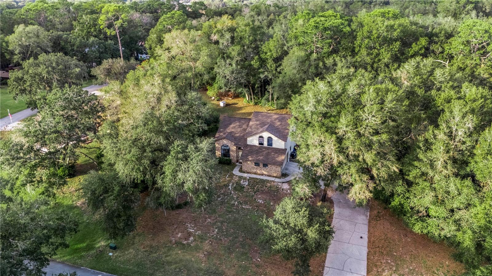 425 BLACK IRONWOOD DRIVE