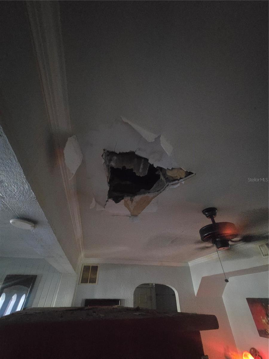 FLORIDENA - Residential