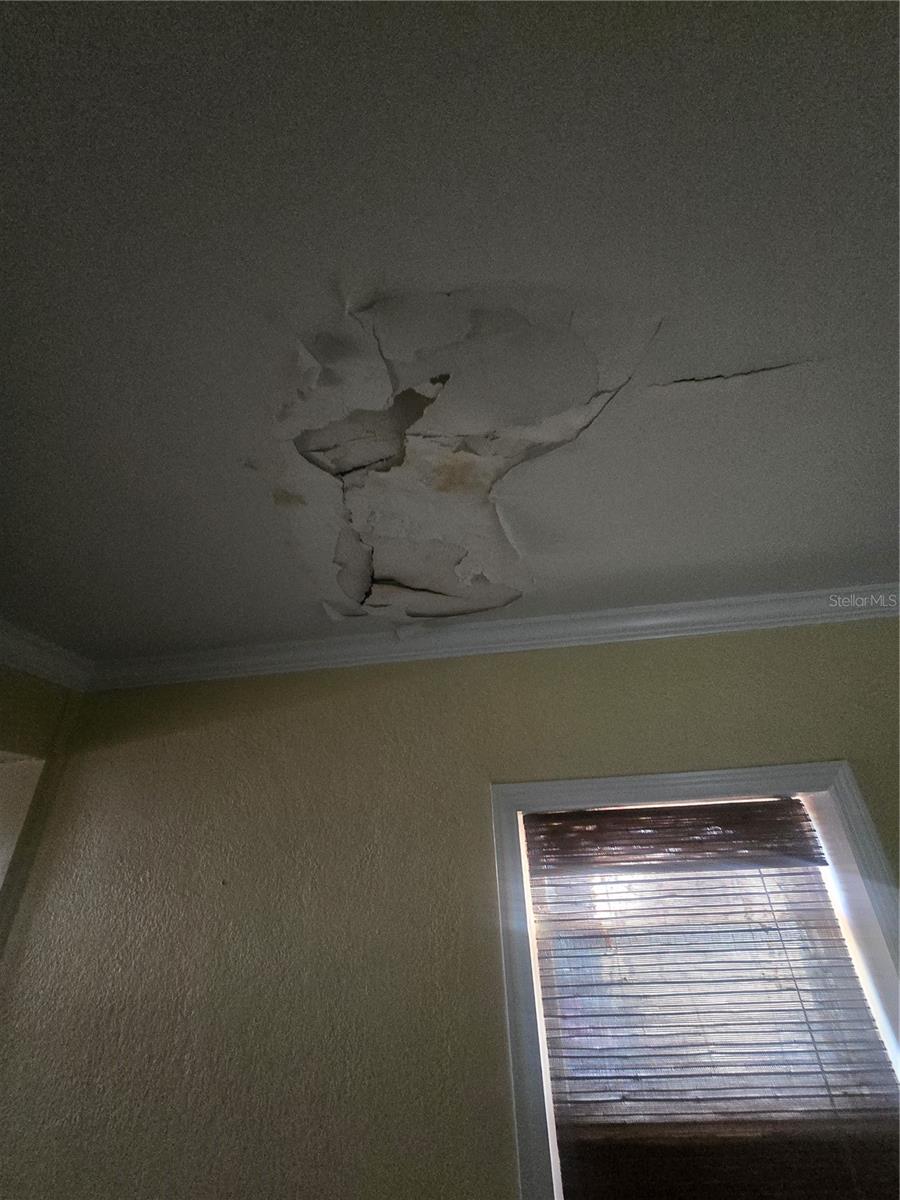 FLORIDENA - Residential