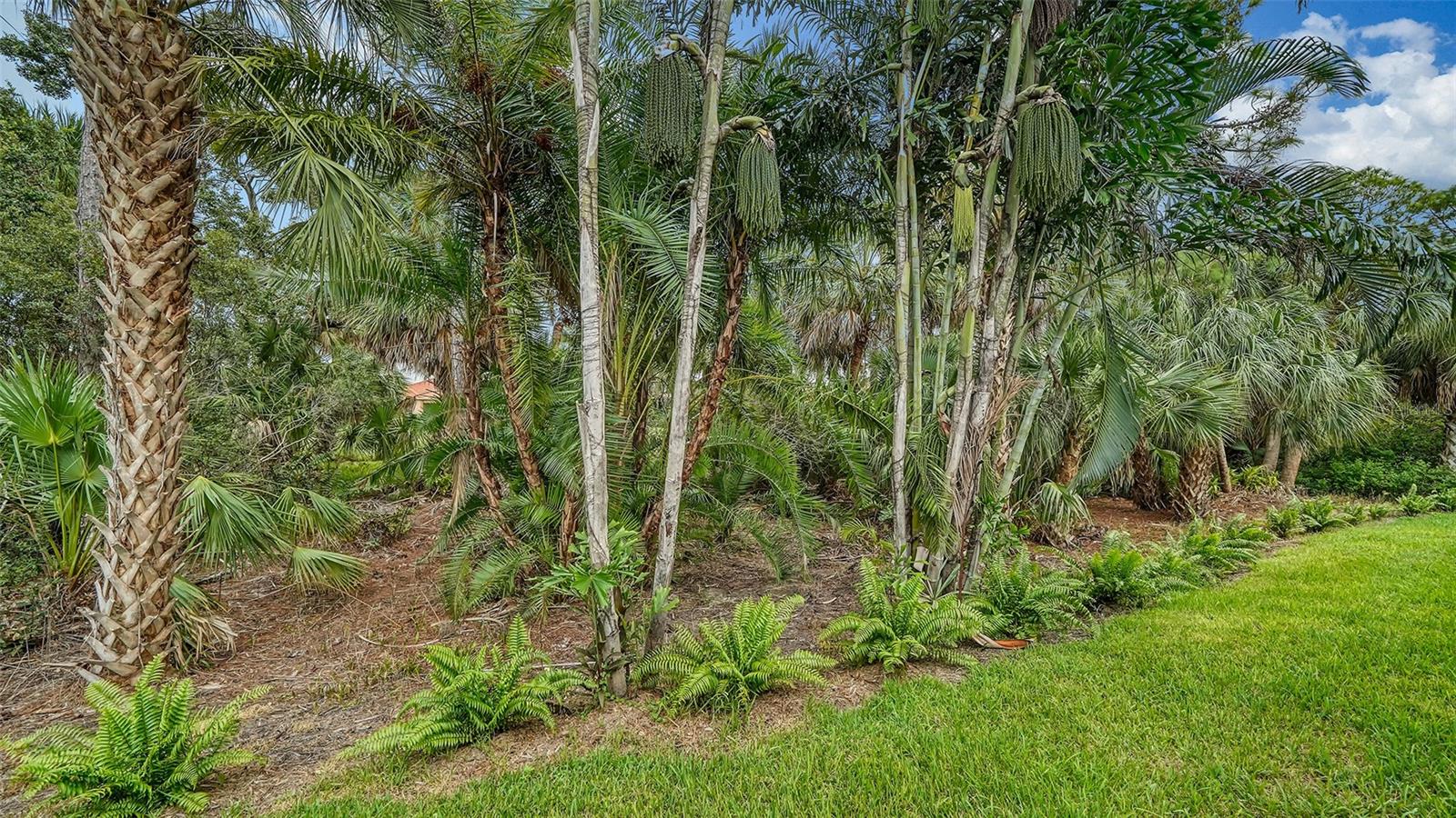 SILVER OAK, - Residential