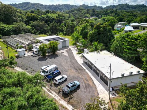 348 CAMINO JUAN LEBRON MAYAGUEZ 00680