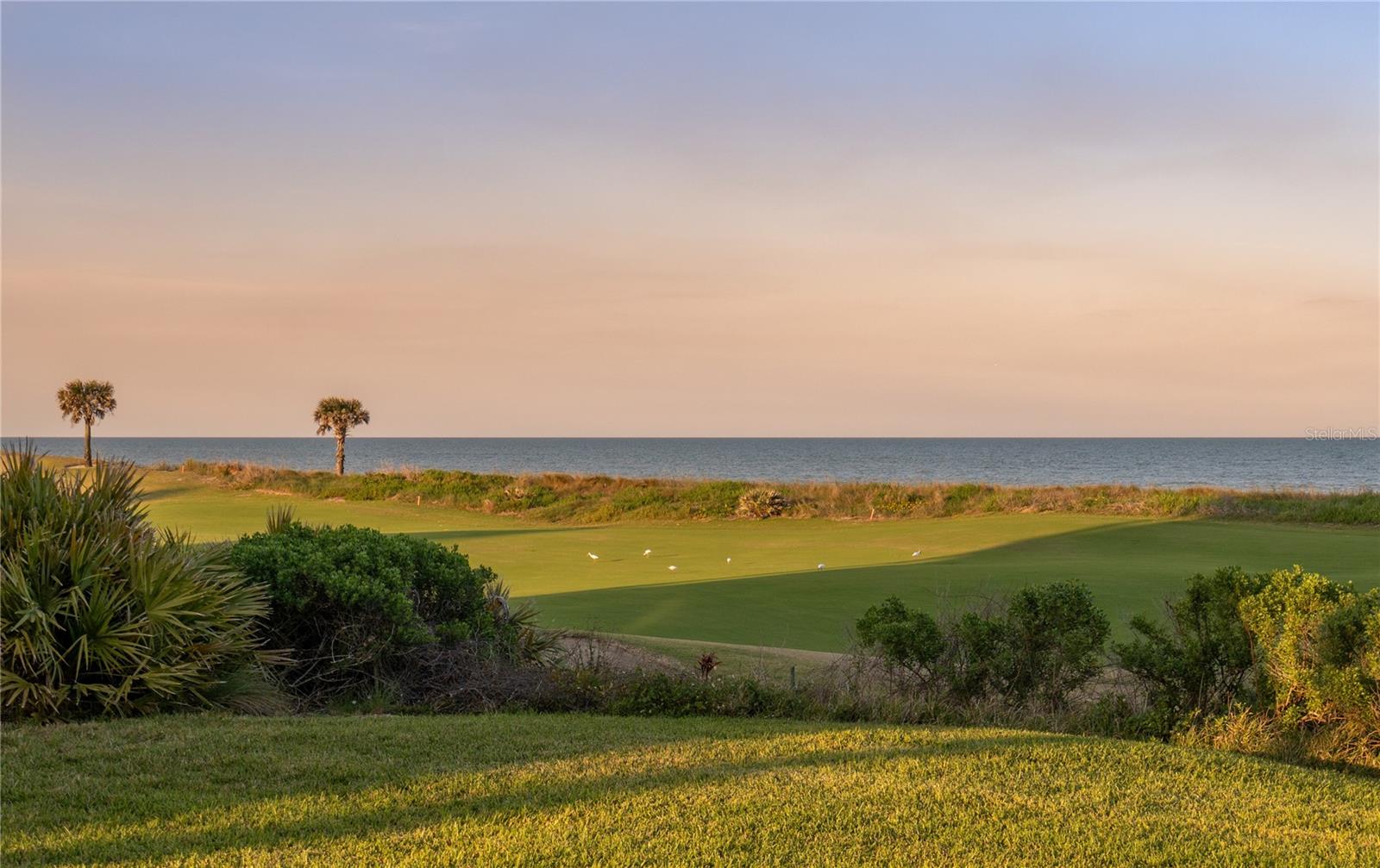 OCEAN HAMMOCK - Residential