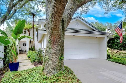 A home in TAMPA