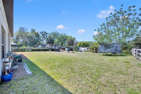 Tiny photo for 32049 Stone Meadow Court, Sorrento, FL 32776 (MLS # O6388365)