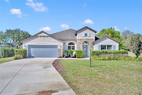 Tiny photo for 32049 Stone Meadow Court, Sorrento, FL 32776 (MLS # O6388365)