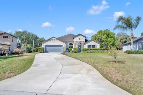 Tiny photo for 32049 Stone Meadow Court, Sorrento, FL 32776 (MLS # O6388365)