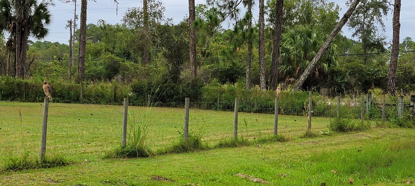 Tomoka Pines Estates - Residential