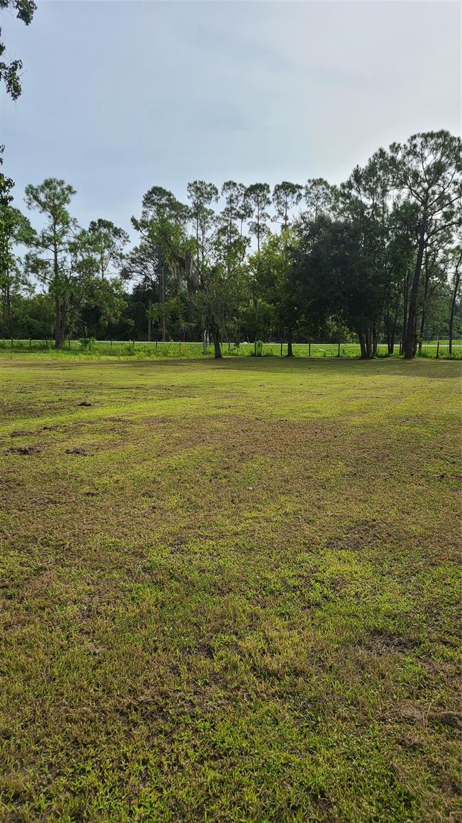 Tomoka Pines Estates - Residential