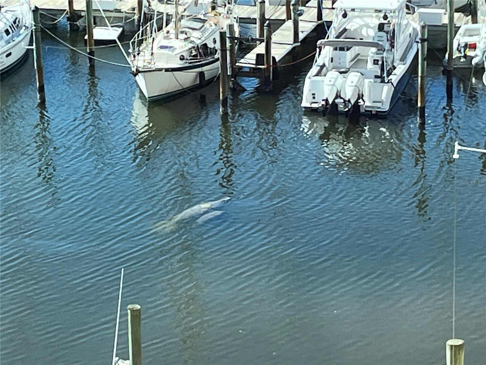 TARPON PASS 02 LAND CONDO - Residential