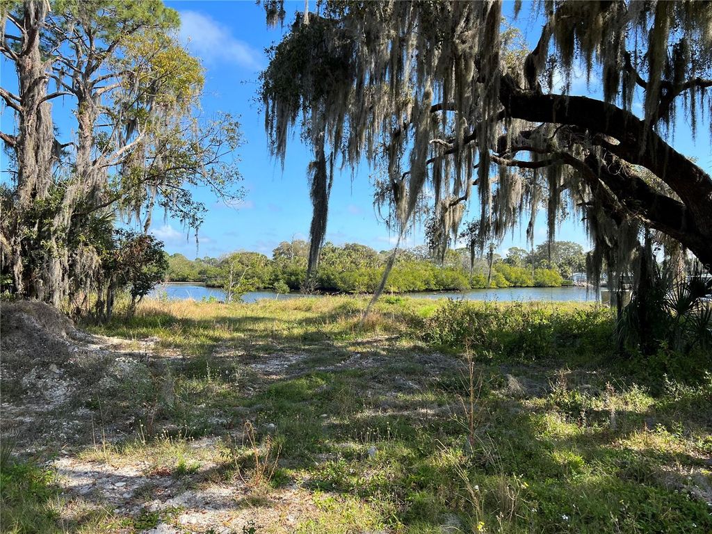 Photo of Tiberius Trail, New Port Richey, FL 34652 (MLS # T3530427)