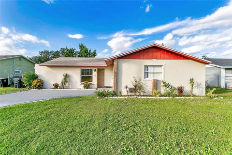 A home in KISSIMMEE