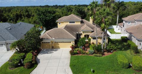 A home in LAKEWOOD RANCH