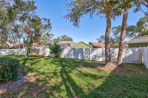 A home in VALRICO