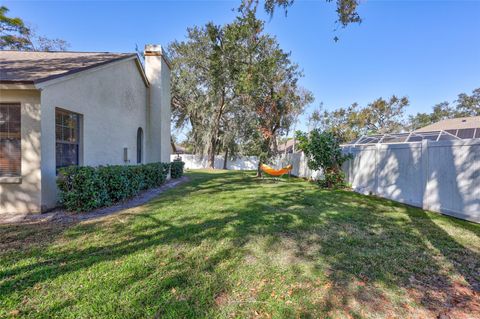 A home in VALRICO