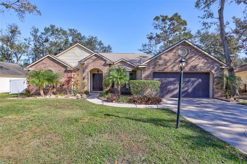 A home in VALRICO